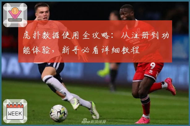 虎扑数据使用全攻略：从注册到功能体验，新手必看详细教程
