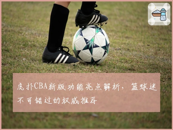虎扑CBA新版功能亮点解析，篮球迷不可错过的权威推荐