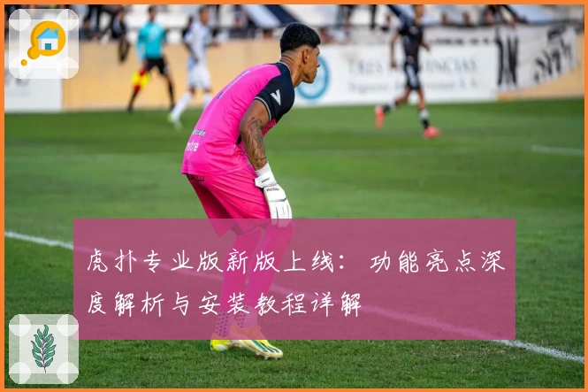 虎扑专业版新版上线：功能亮点深度解析与安装教程详解