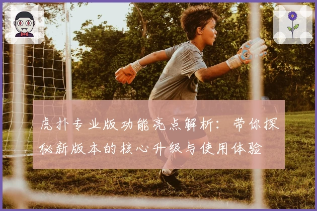 虎扑专业版功能亮点解析:带你探秘新版本的核心升级与使用体验